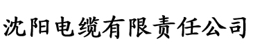 缓慢而坚定的送了进去视频电缆厂logo